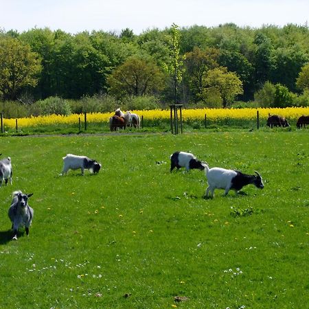 Ferienwohnungen Auf Dem Ferienhof Sell Stoltebull Екстер'єр фото